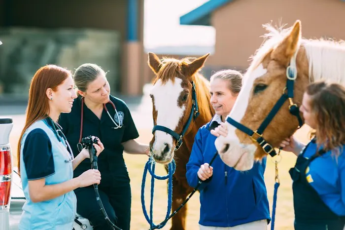 Midwestern University Large Animal Clinic 3