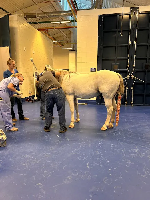 Midwestern University Large Animal Clinic 1
