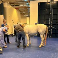 Midwestern University Large Animal Clinic ico