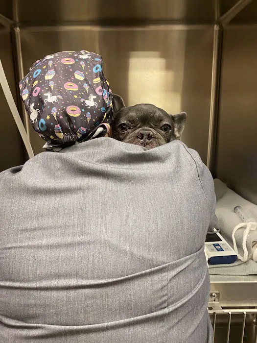 CARE Animal Surgery Center 2