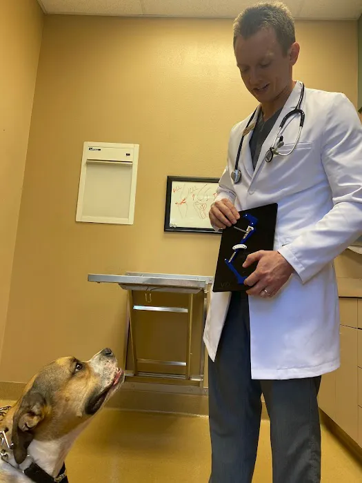 CARE Animal Surgery Center 1