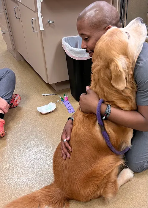 CARE Animal Surgery Center 7