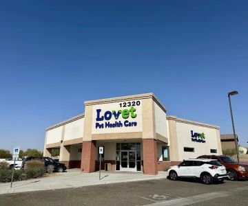 Roadrunner Animal Hospital & Grooming