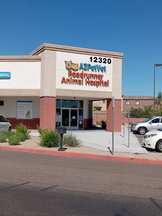 Roadrunner Animal Hospital & Grooming 2
