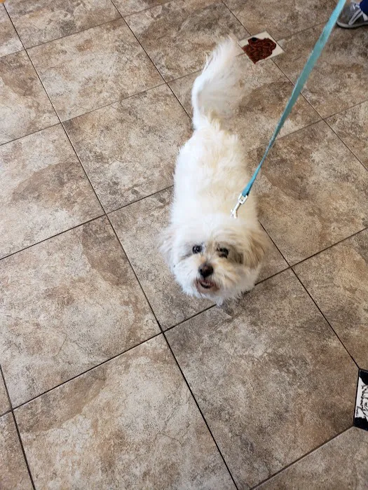 Roadrunner Animal Hospital & Grooming 10