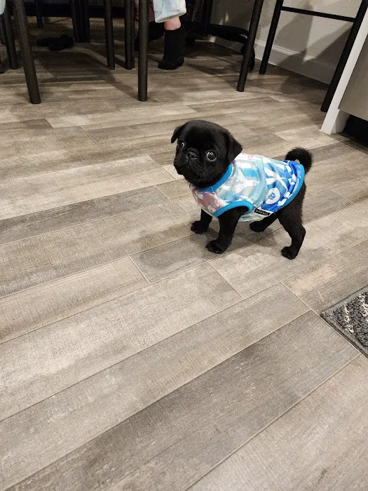 Western Animal Hospital 7