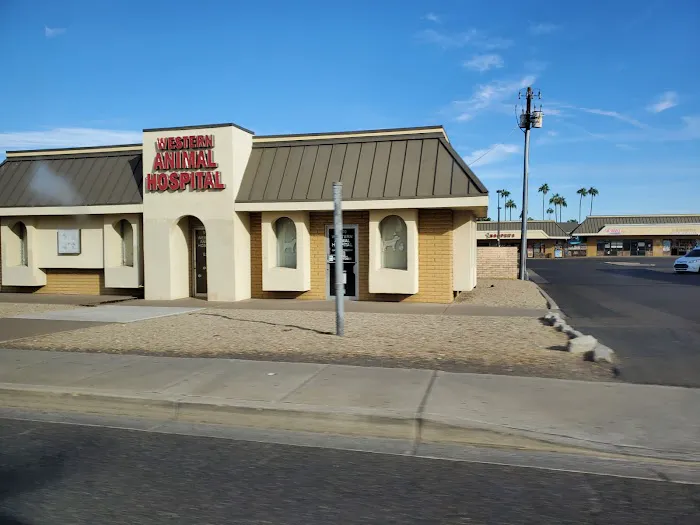 Western Animal Hospital 4
