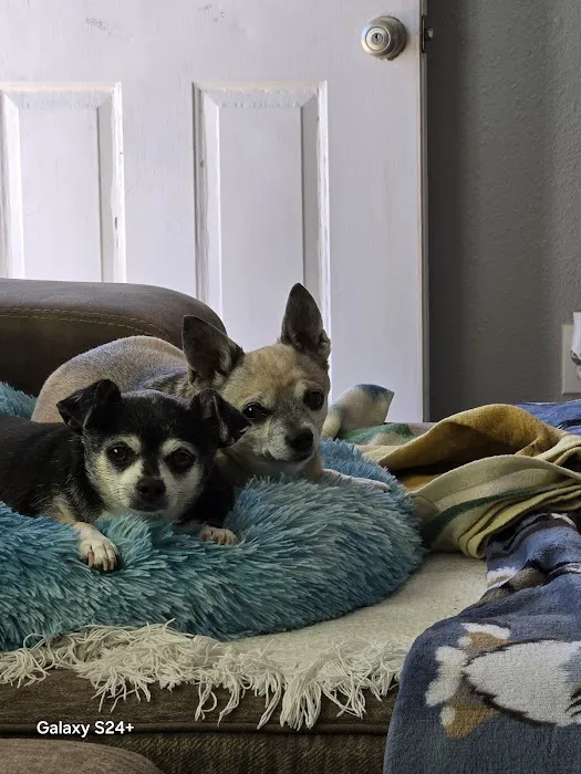 Sonoran Foothills Pet Clinic 1