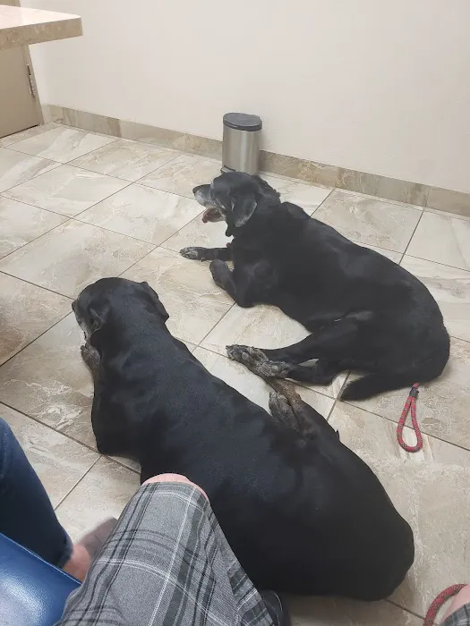 Rahal, Cheryl, Dvm - Desert Hills Animal Clinic 1
