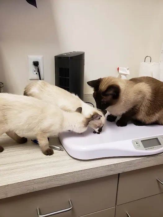 The Pet Wellness Center 4