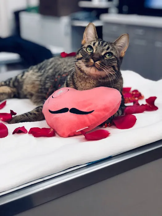 The Pet Wellness Center 9