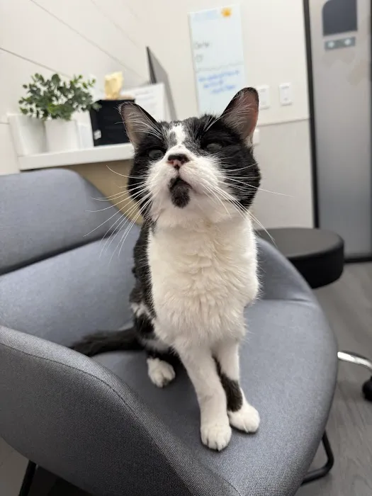 VCA Animal Hospitals Urgent Care - Peoria 2