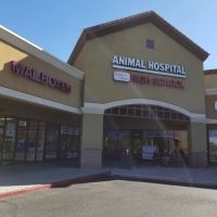 Fletcher Heights Animal Hospital & Grooming ico