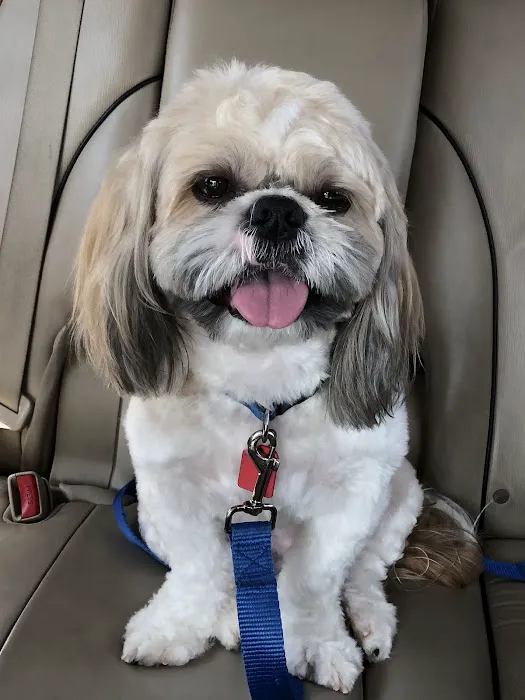 Fletcher Heights Animal Hospital & Grooming 2