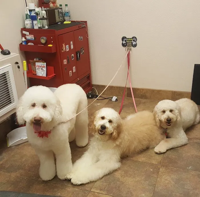 Fletcher Heights Animal Hospital & Grooming 5