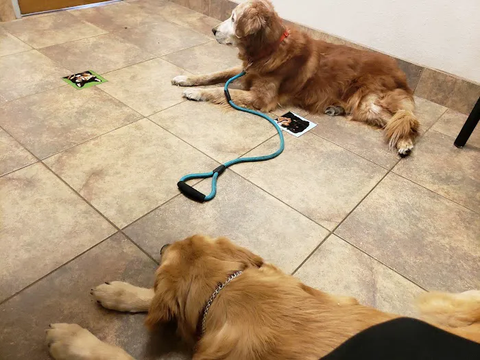 Fletcher Heights Animal Hospital & Grooming 8