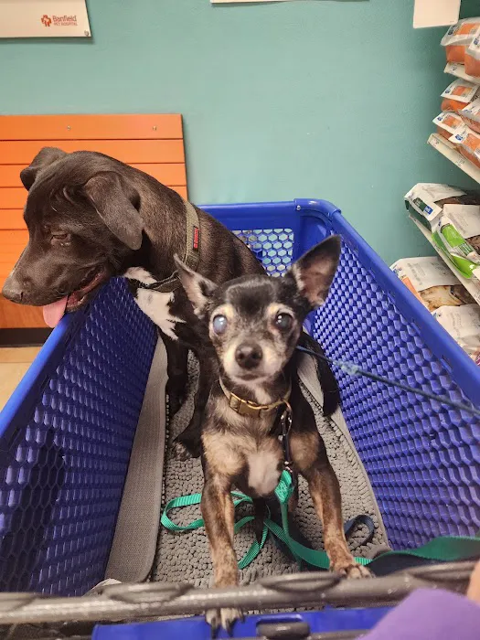 Banfield Pet Hospital 8
