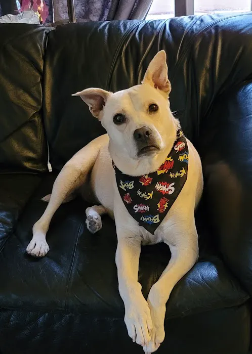 Westbrook Animal Hospital 3