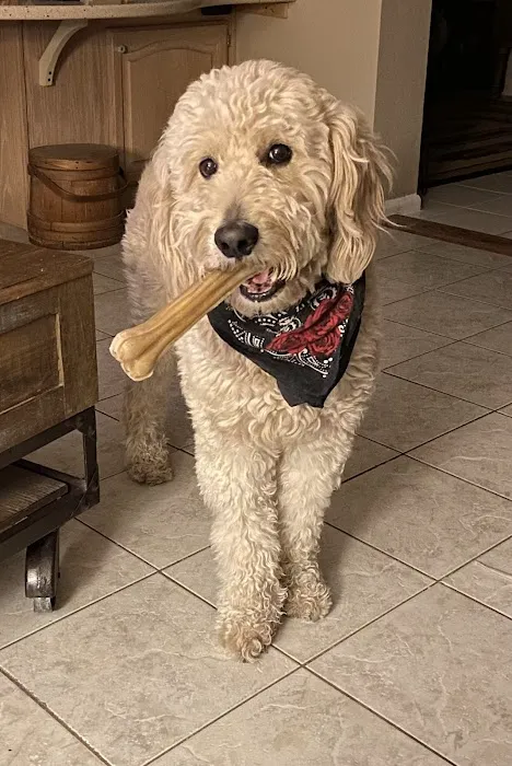 Westbrook Animal Hospital 2