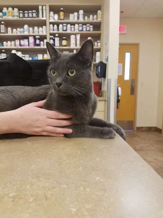 Westbrook Animal Hospital 6