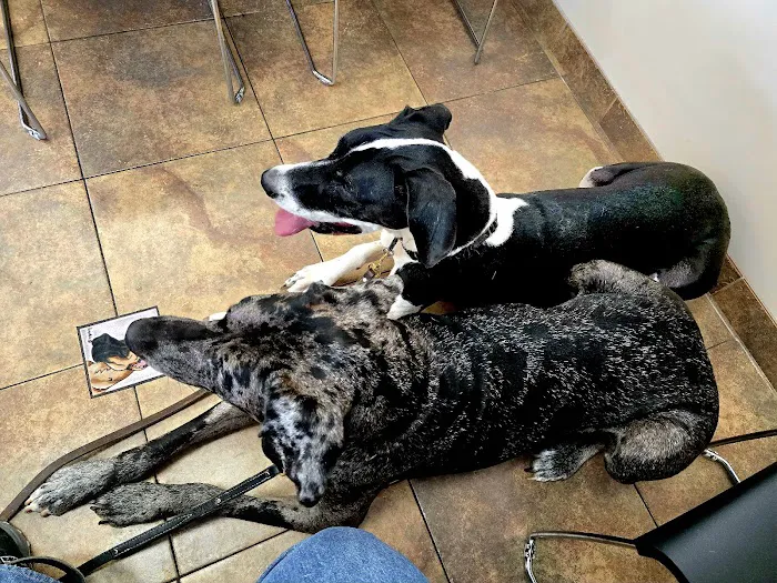 Westbrook Animal Hospital 8
