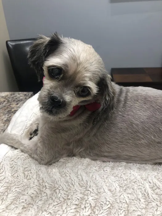 Parkway Animal Clinic 3
