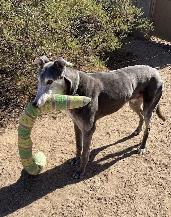 Parkway Animal Clinic 5
