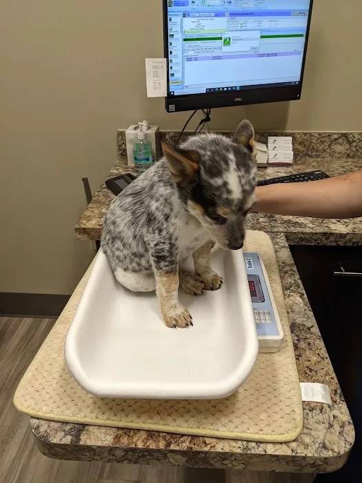 Parkway Animal Clinic 1