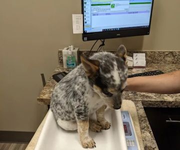 Parkway Animal Clinic
