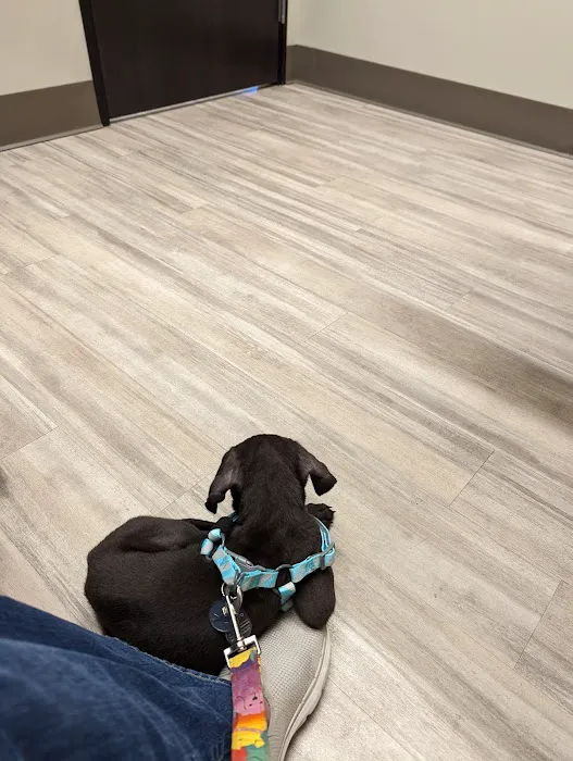 Parkway Animal Clinic 2