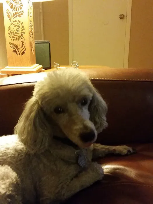 Banfield Pet Hospital 6