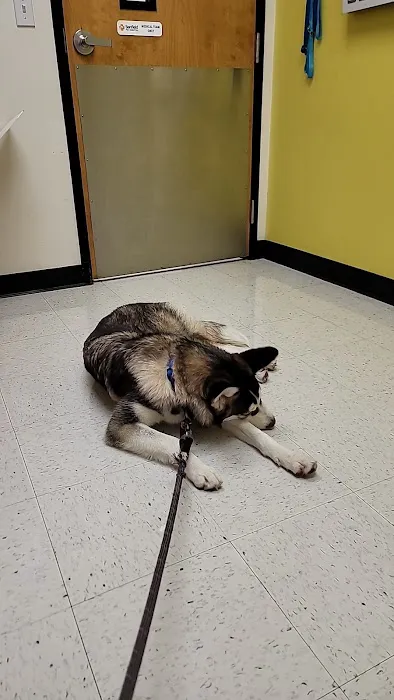 Banfield Pet Hospital 5