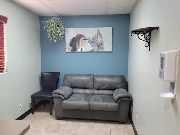 VCA El Mirage Animal Hospital 1