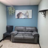 VCA El Mirage Animal Hospital ico