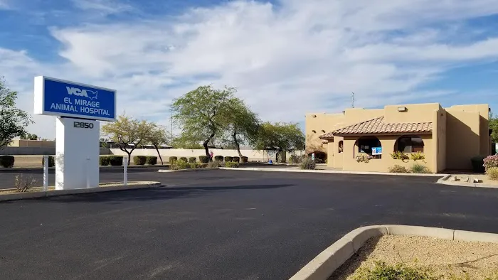 VCA El Mirage Animal Hospital 5