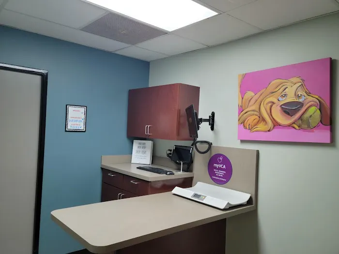 VCA El Mirage Animal Hospital 8