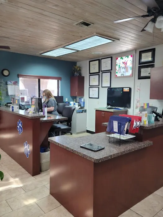 VCA El Mirage Animal Hospital 9