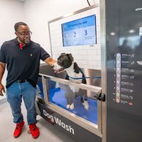 Walmart Pet Services ico