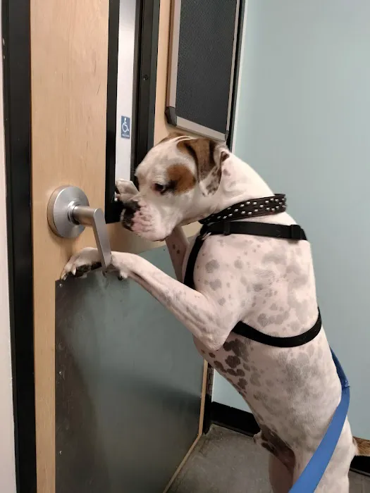 Banfield Pet Hospital 2