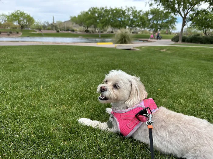 Banfield Pet Hospital 4