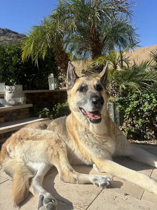 Banfield Pet Hospital 8