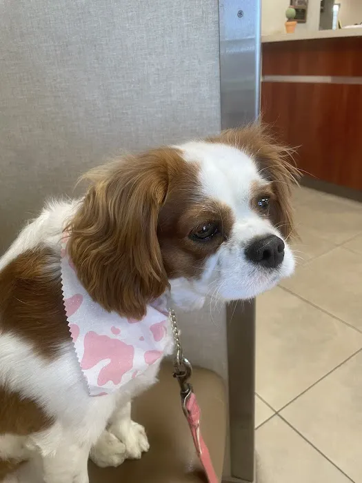 Banfield Pet Hospital 9