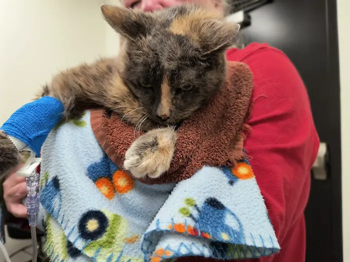 Urgent Petcare 10