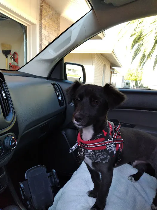 Sun City Animal Hospital 6