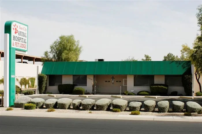 Sun City Animal Hospital 2