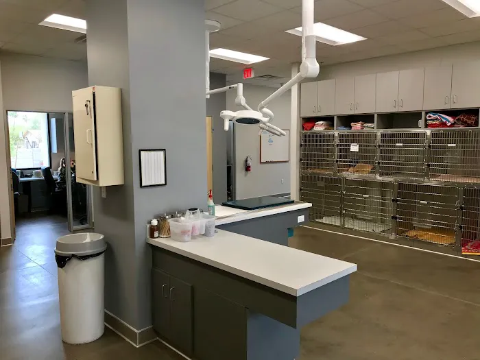 Peoria Animal Hospital 4