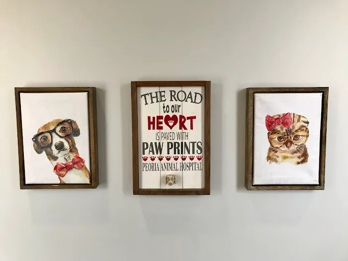 Peoria Animal Hospital 9