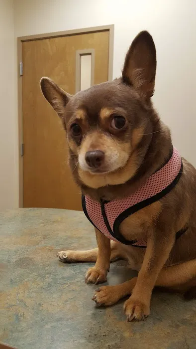 West Olive Animal Hospital Llc 8