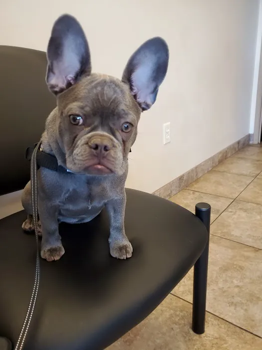 West Olive Animal Hospital Llc 5