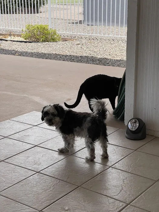 West Olive Animal Hospital Llc 3